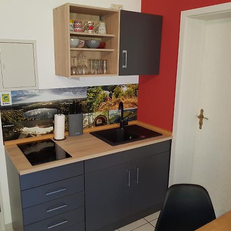 Zimmerappartement "Rose" - Ferienwohnungen Wagner & Gaul Daleiden Eksteriør bilde